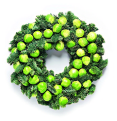 Sprout.png