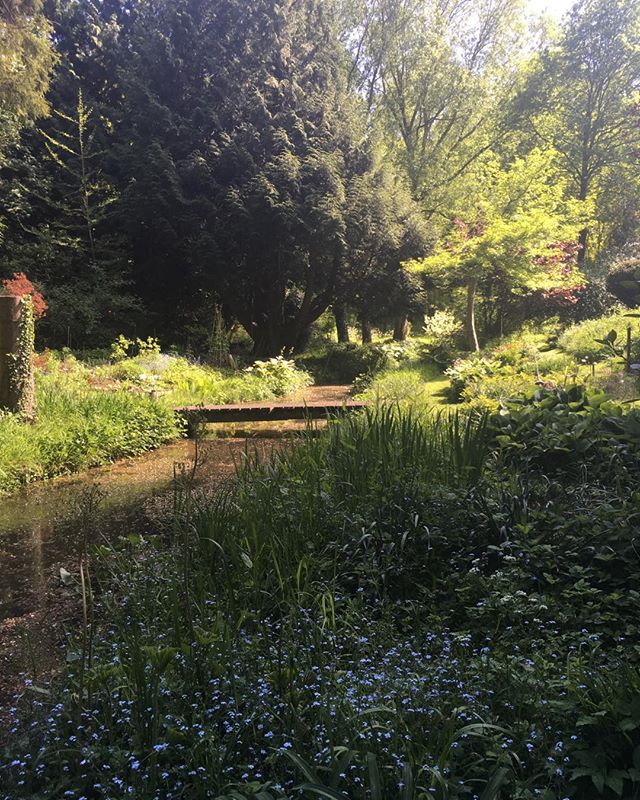 Just around that corner ... summer house project almost completed ❤️
.
.
.
#gardendesign #naturalgarden #suffolk #cocktails #interiordesign #wine #felixstowe #contemporaryart #portugal #innovation #photography