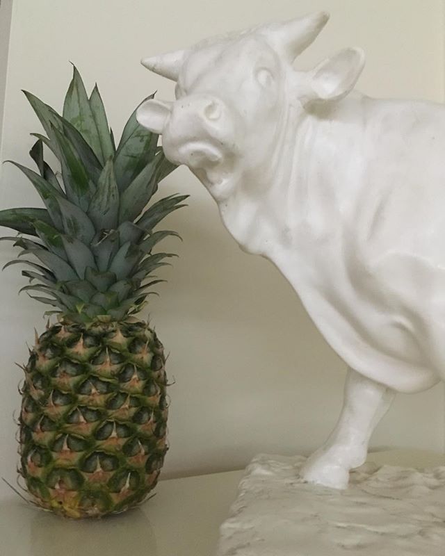 Seems to work ! ❤️
.
.
.
#interiordesign #decorating #sculpture #contemporaryart  #finewine #Suffolkgardens #Felixstowe #Portugal