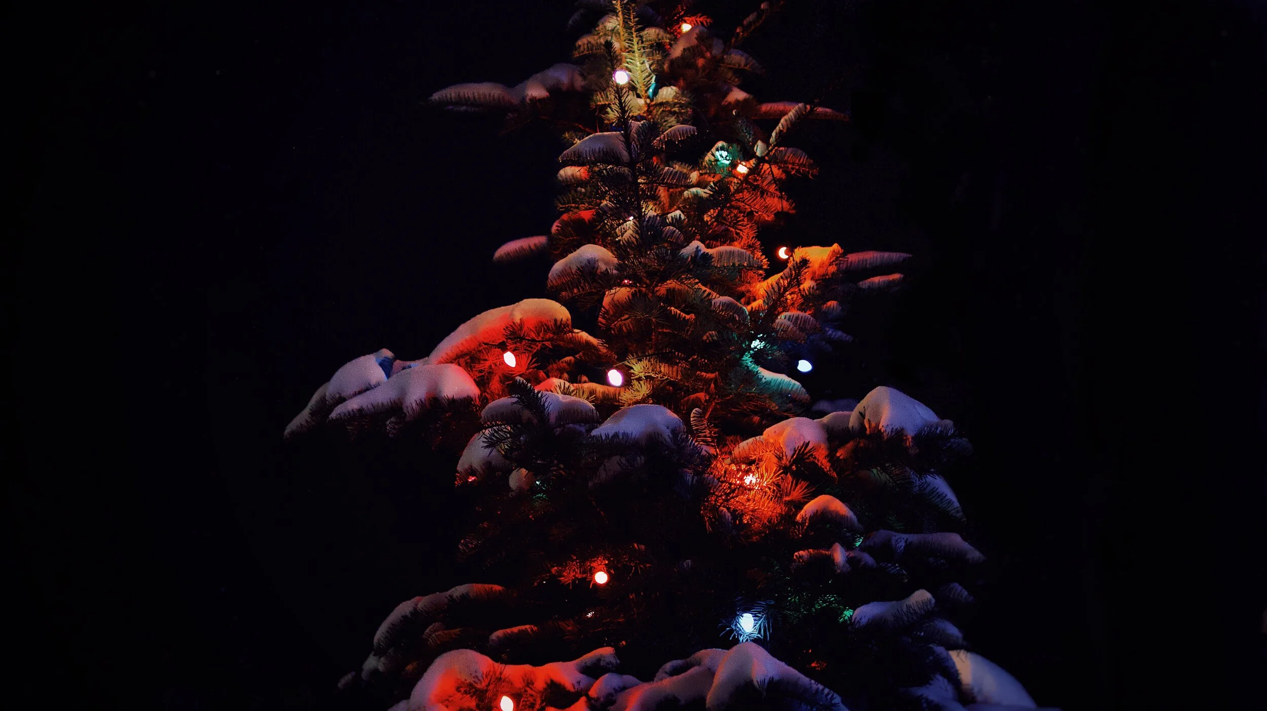 Christmas at Wydale.jpg