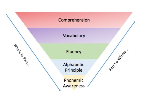 This graphic shows the 5 Big Ideas of Literacy as an inverted pyramid. While the ultimate goal of reading is being able to understand what we read in order to read to learn, it is important to build the foundational skills. A comprehensive approach to teaching literacy skills should focus on teaching the parts, through targeted lessons and scaffolded practice, as well as teaching the whole concept of reading through read alouds and exploration of texts. 