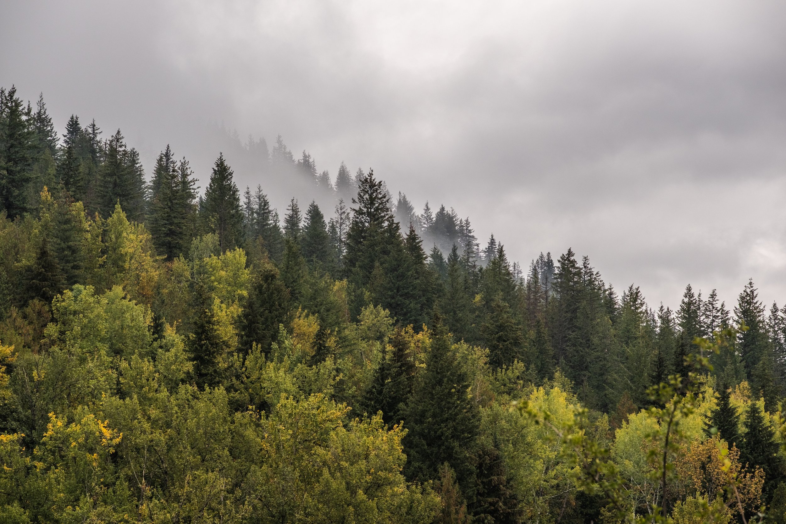 DSCF3070.jpg