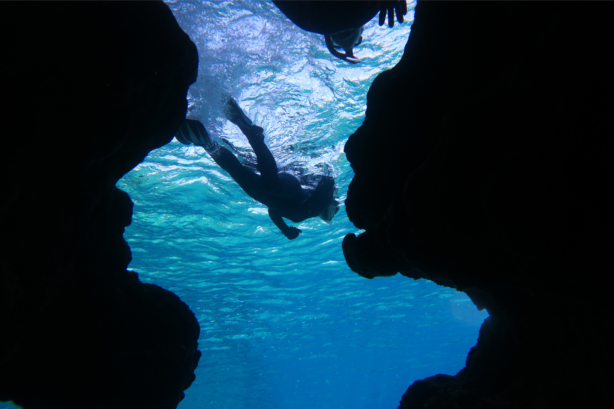 Photo by 7maru/iStock / Getty Images
