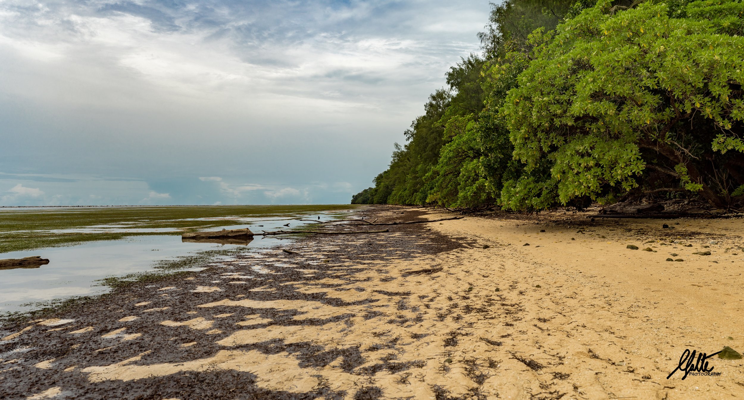 On the morning of the 15th of September 1944 the US 1st Marine Division landed on this southwest beach under heavy fire from the Japanese who had dug fortifications all along the beach. The fortifications were largely undamaged from three days of aerial bombardments, although most of the greenery had been blown away.