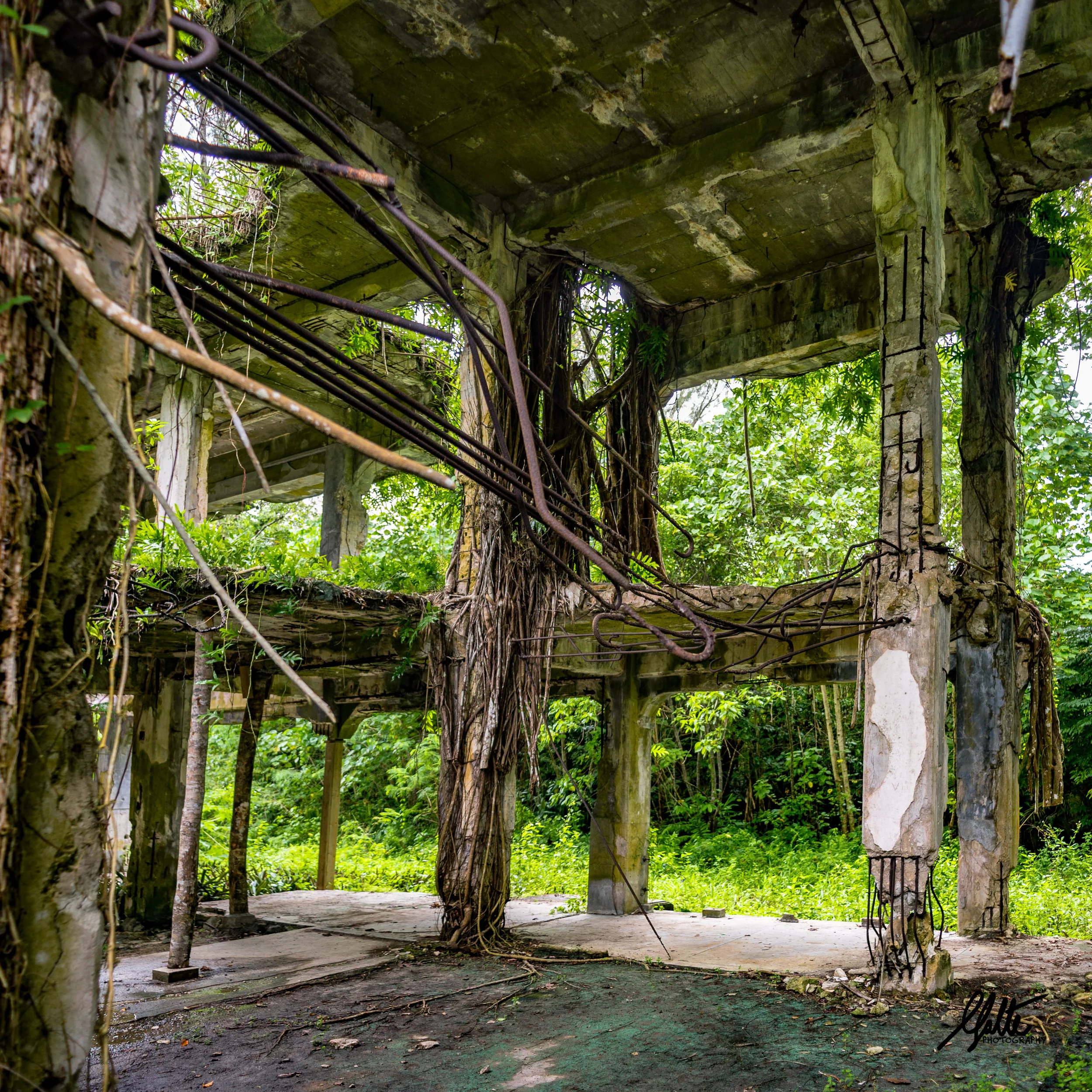 What remains of the Japanese headquarters about a hundred metres away from the airfield. At the time there was an unobstructed view over the airfield from the 1st floor. The Americans had to cross the unprotected airfield in order to take it. Today the view is completely overgrown with jungle. By the 8th day the Marines had captured the airfield and the southern portion of the island.