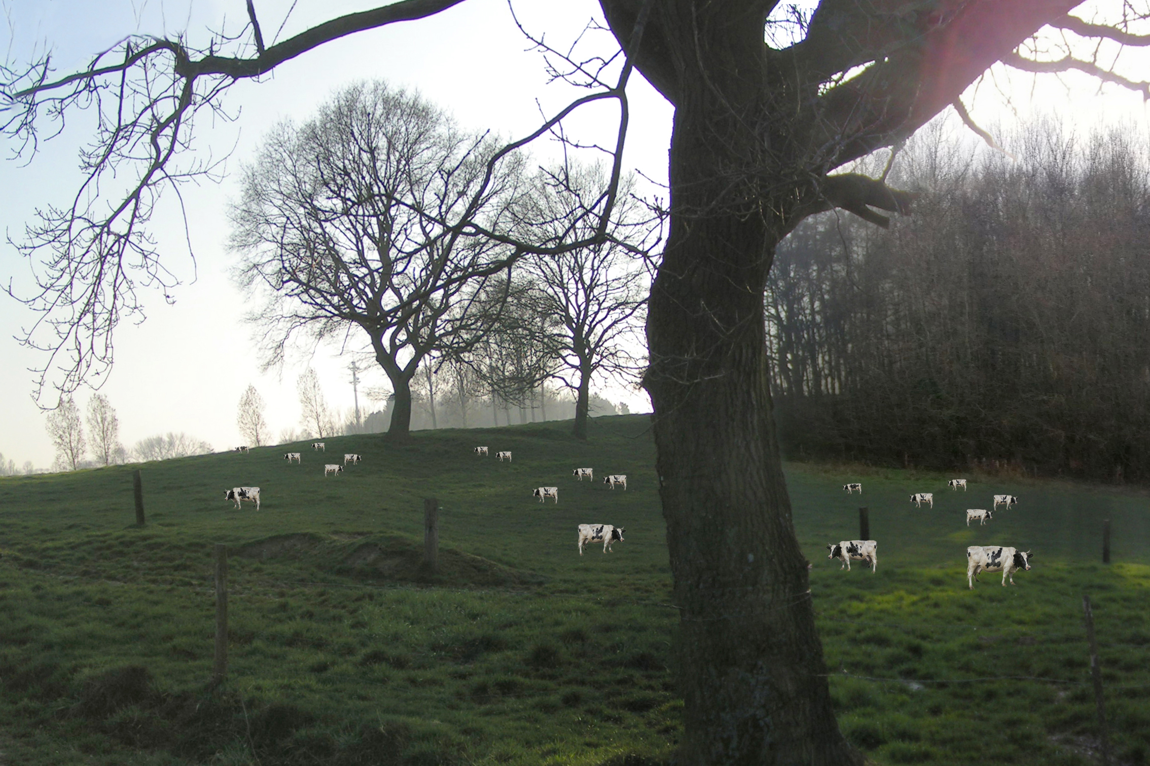 Kesterheide Gooik