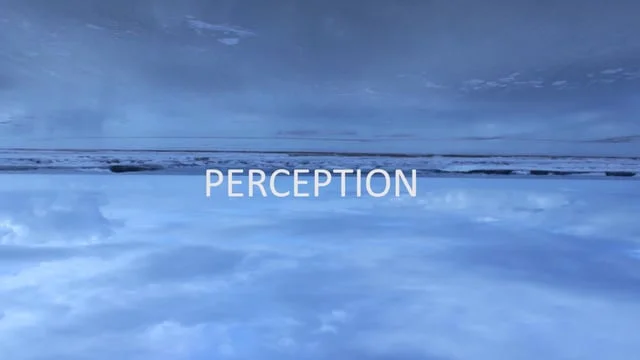 PERCEPTION