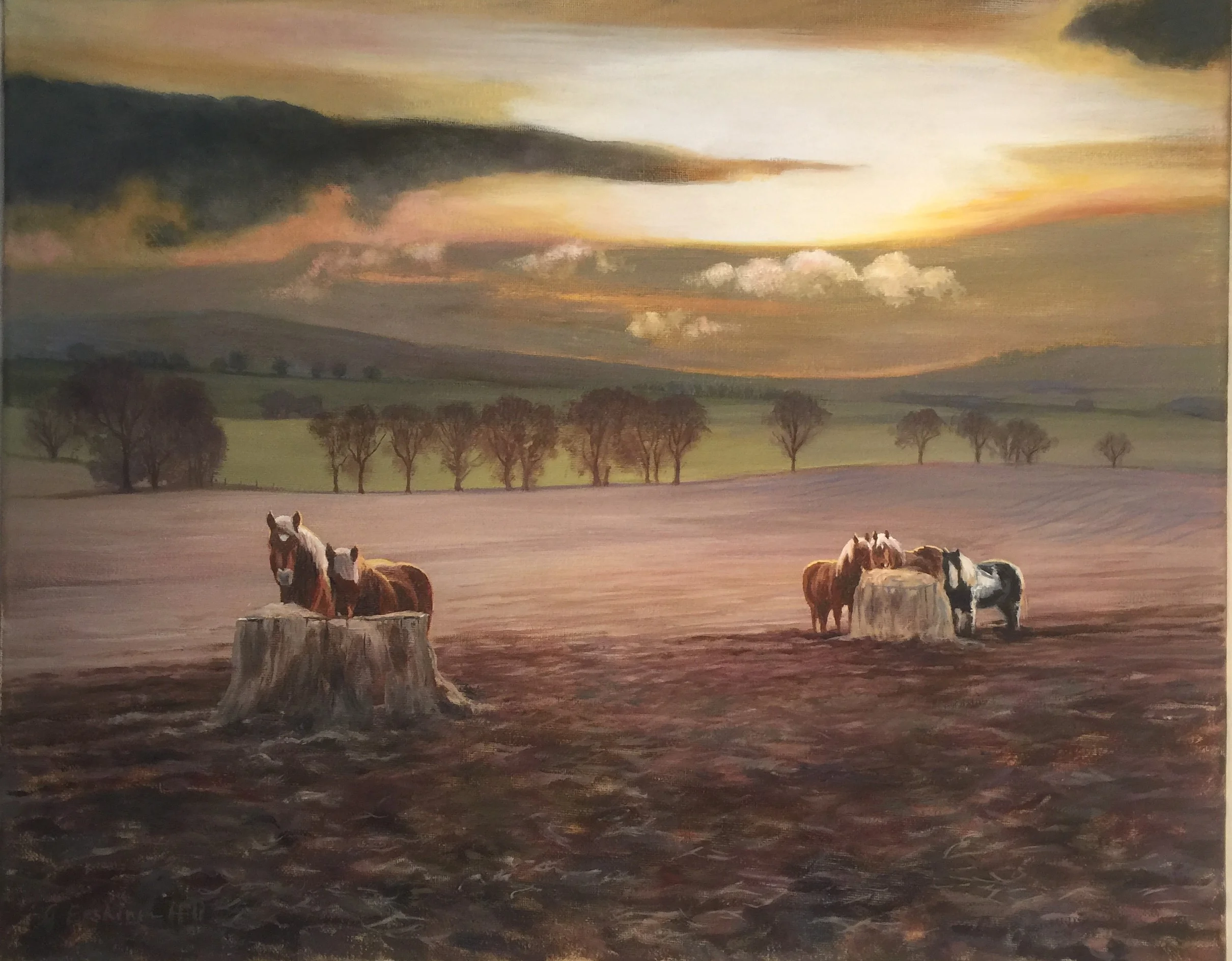 'Dusk in the Borders' 67cm x 57cm Oil
