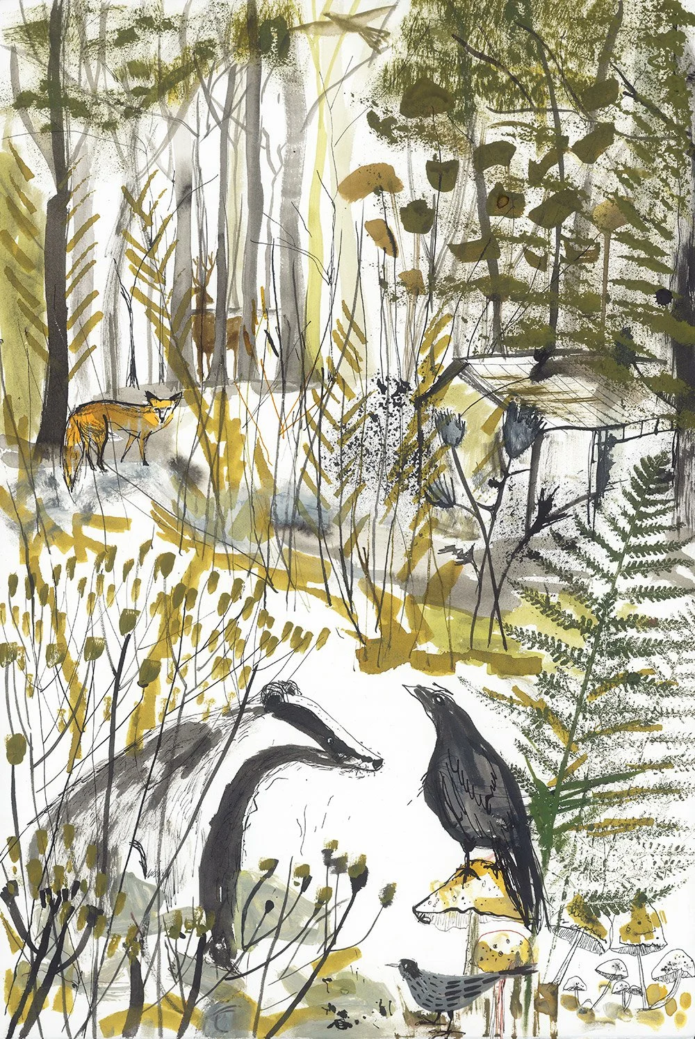 'The Badger and the Crow' Framed signed archival print 48cm x 38cm