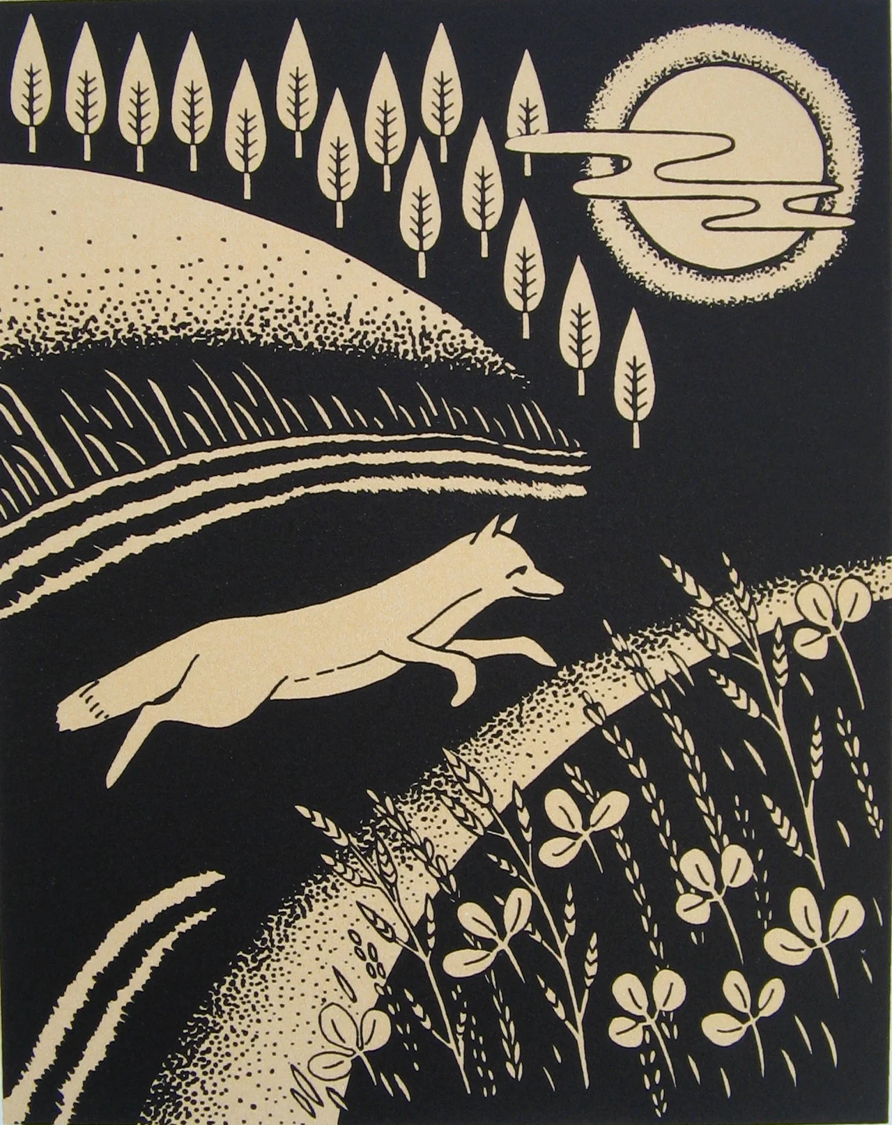 Midnight Fox Catherine Bowdler.JPG