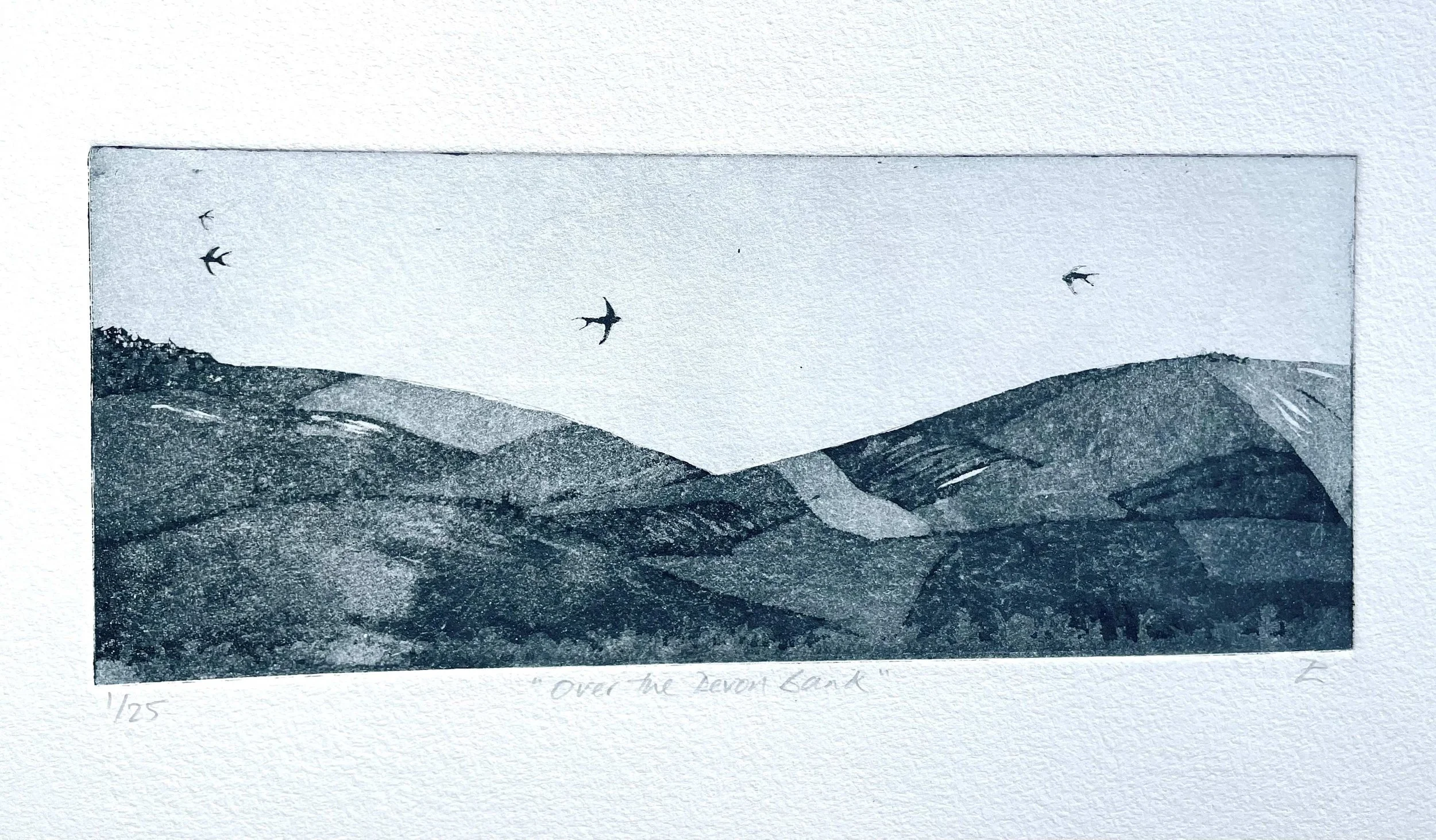 'Over the Devon Bank' 1/25 - £195 SOLD ( can order ) 