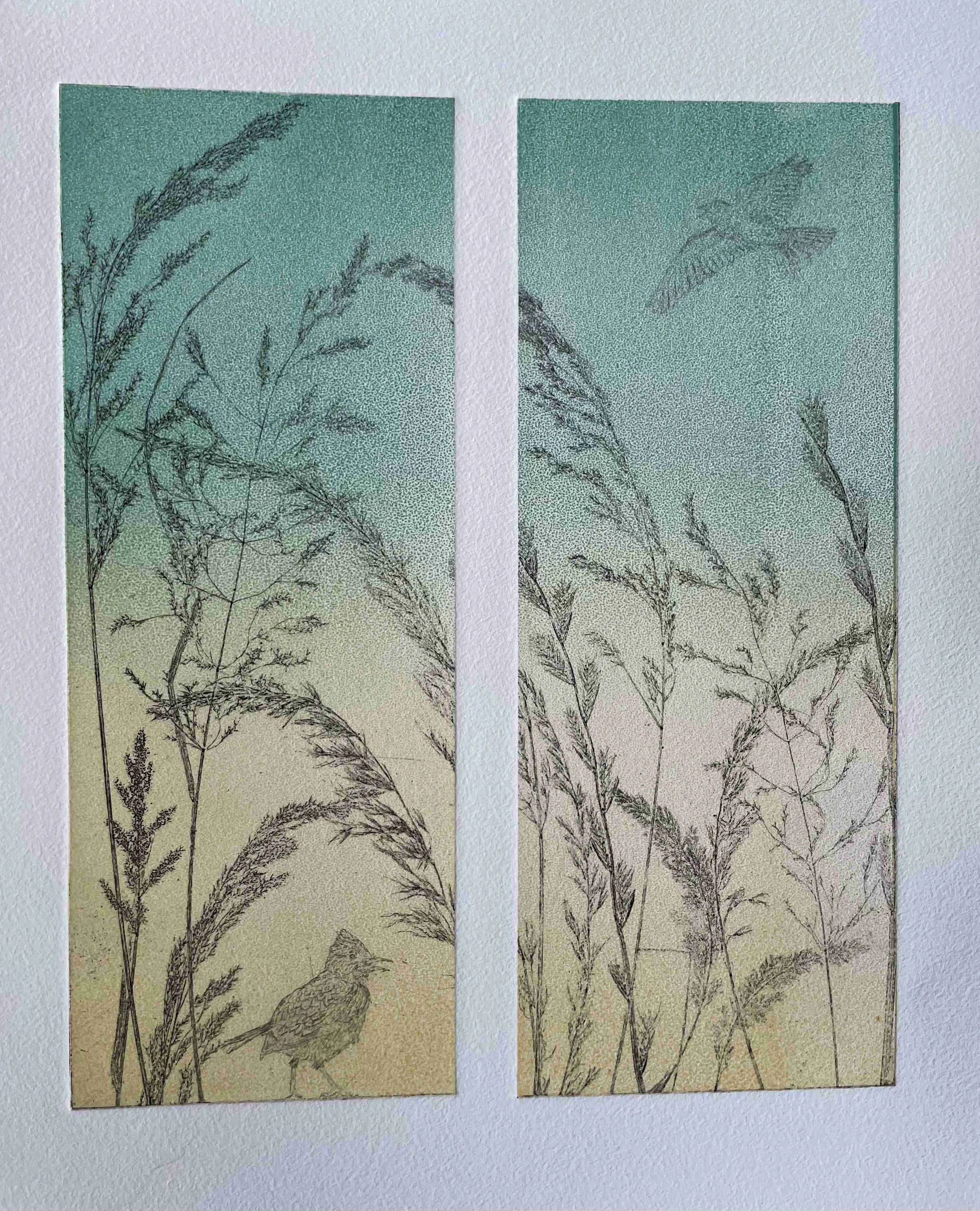 'Meadow Song ( Skylark) 1/25 - £325