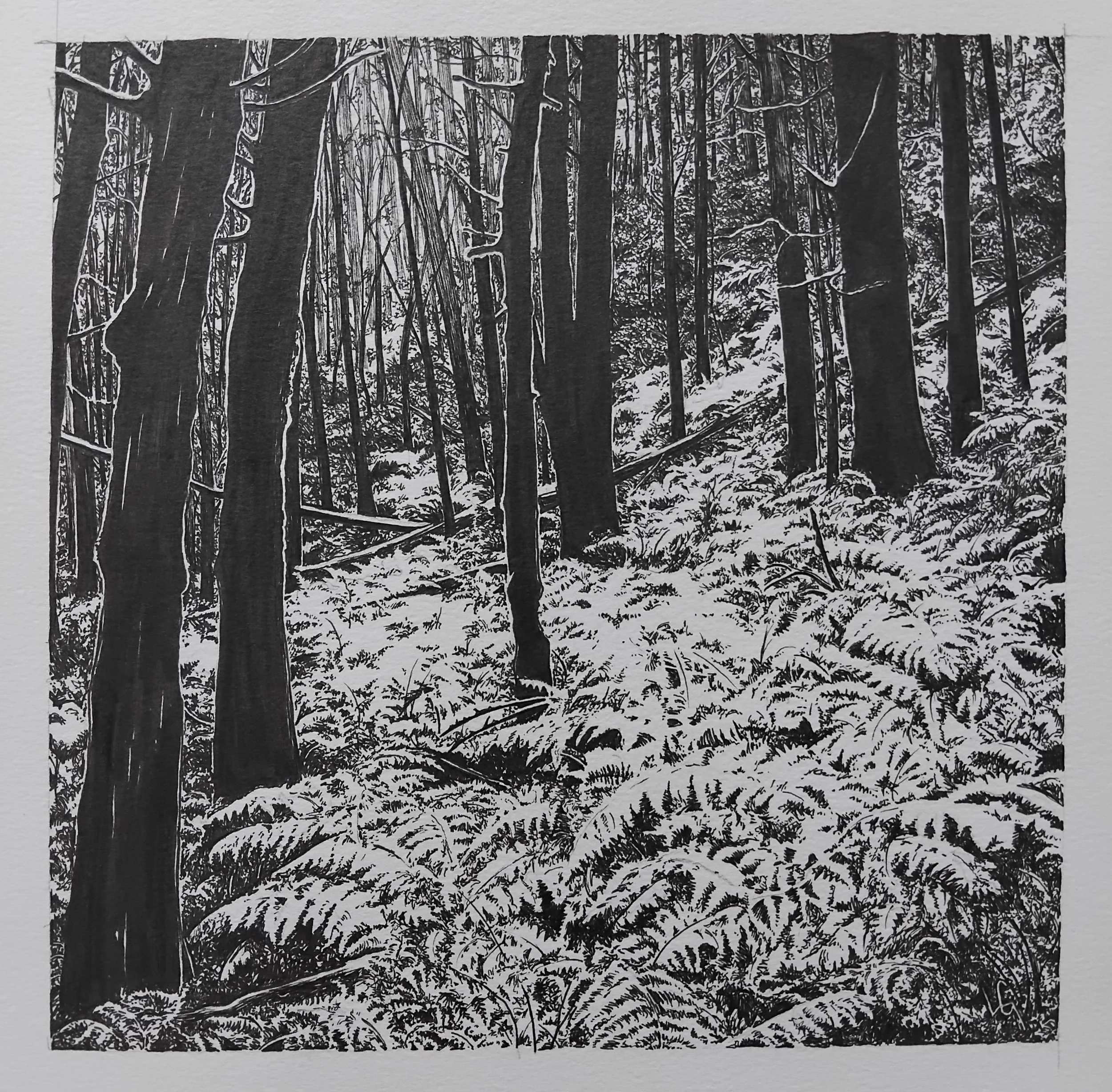 'Fern Woods' - £295