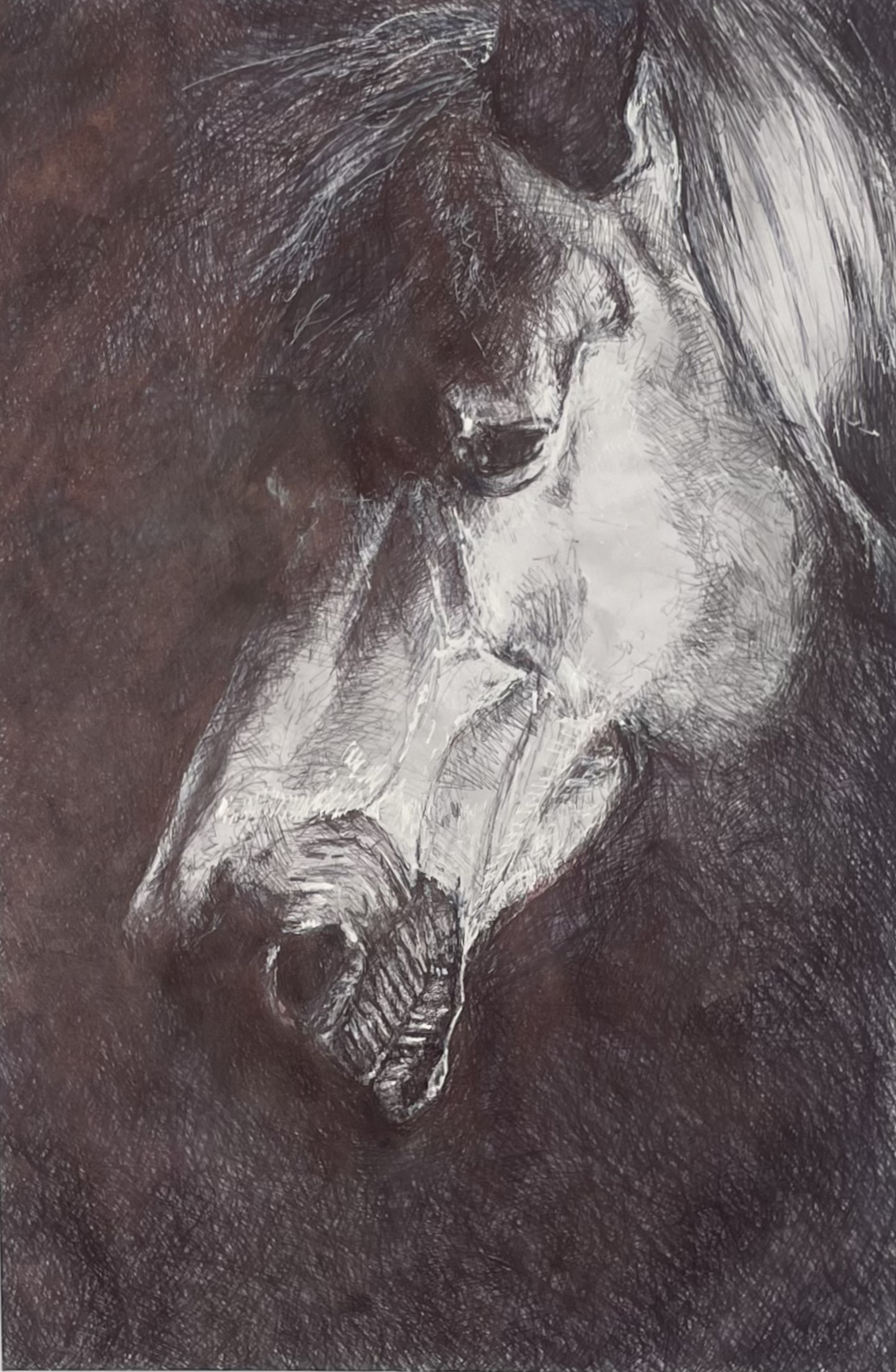 'Exmoor Pony' - £395