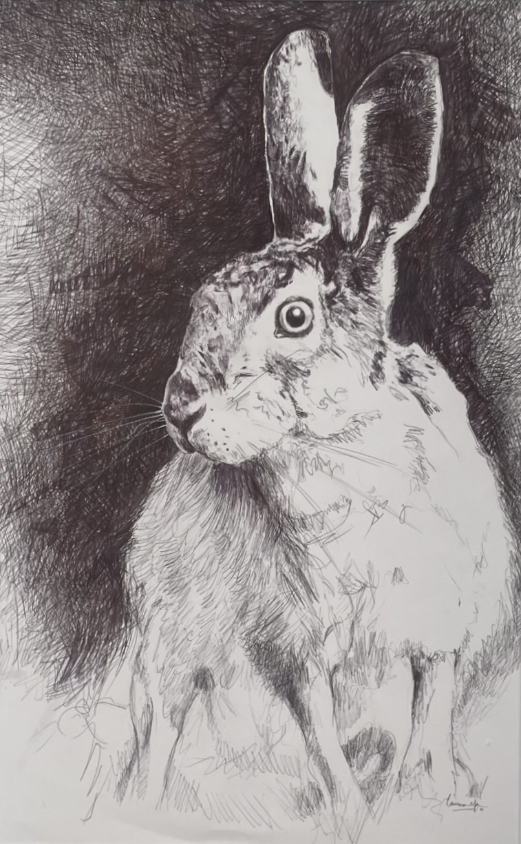 'Startled Hare' - £395 -SOLD 