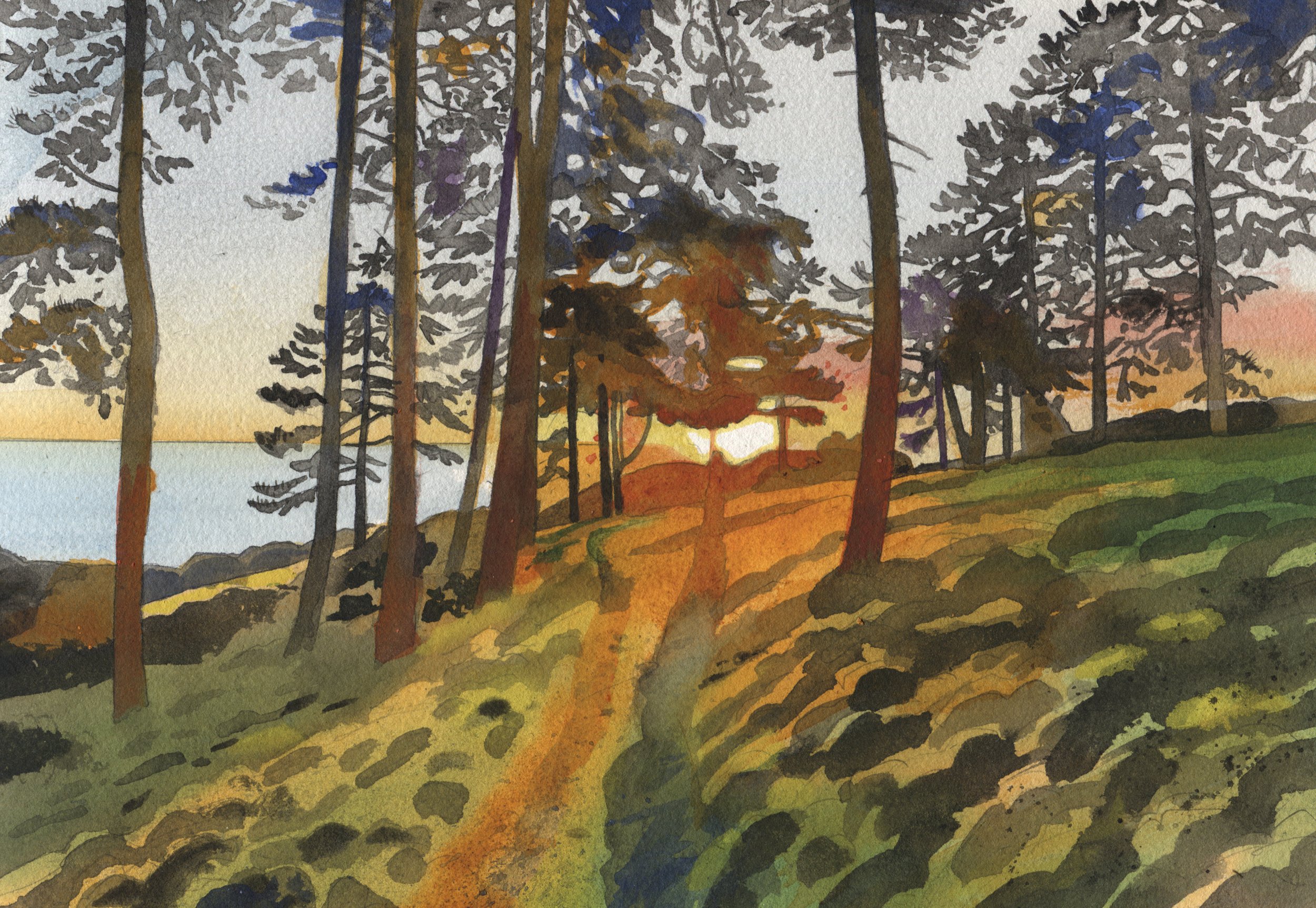'Sunrise Through the Pines 2' £475 - SOLD 