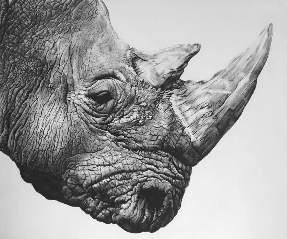'Northern White Rhino' Signed Limited Edition Giclee Print.