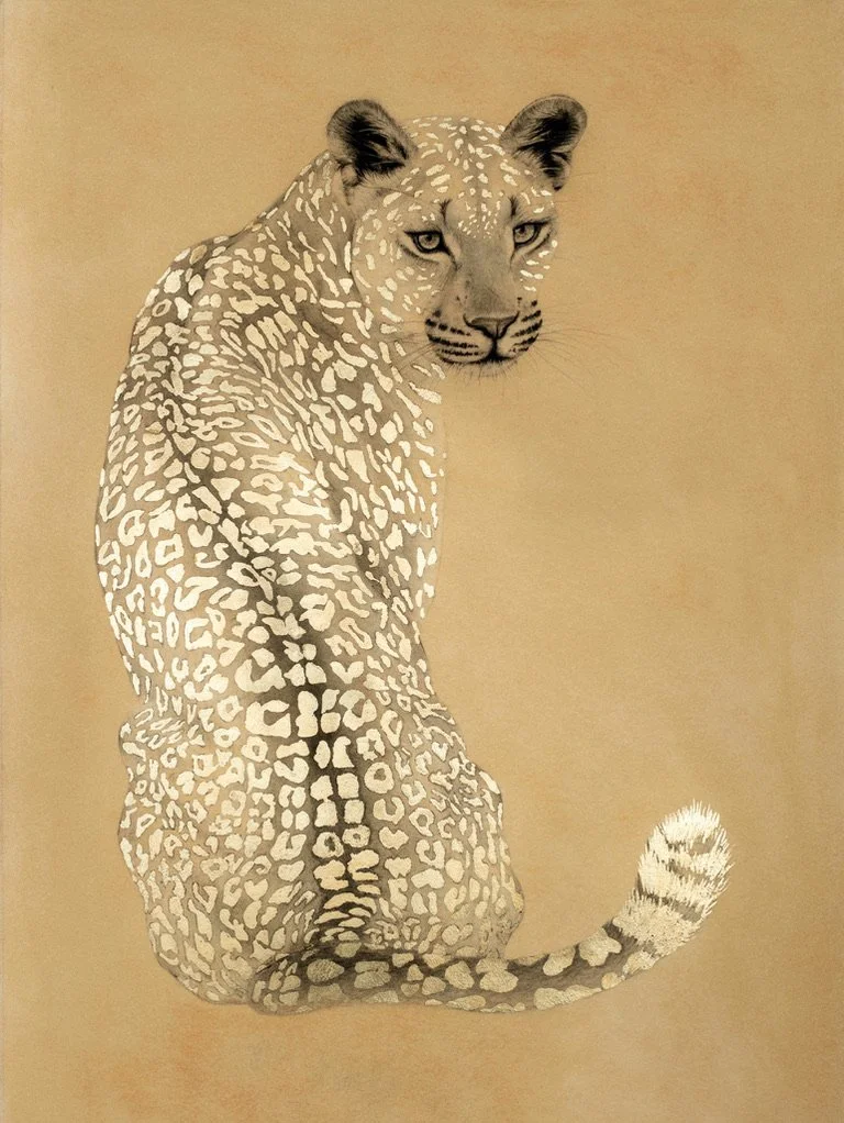 'Gold Leopard' Limited Edition Signed Giclee Print ( Taken from an Original Charcoal and Gold Leaf Drawing on paper painted with pigment from soil and rocks from Oman) 
