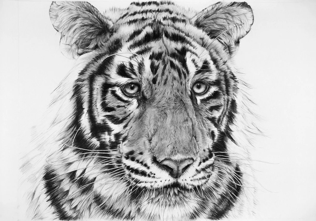 'Reflection' Limited Edition Signed Giclee Print ( Taken from an Original Charcoal Drawing)