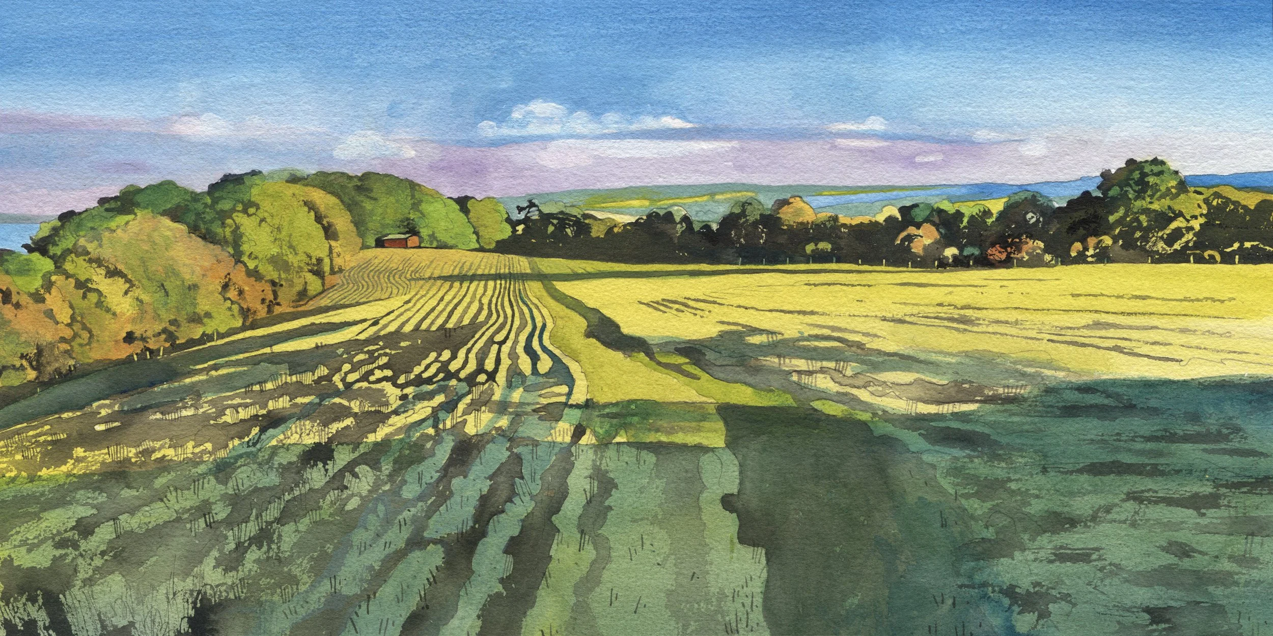 'Freshly Cut Grass' - £895