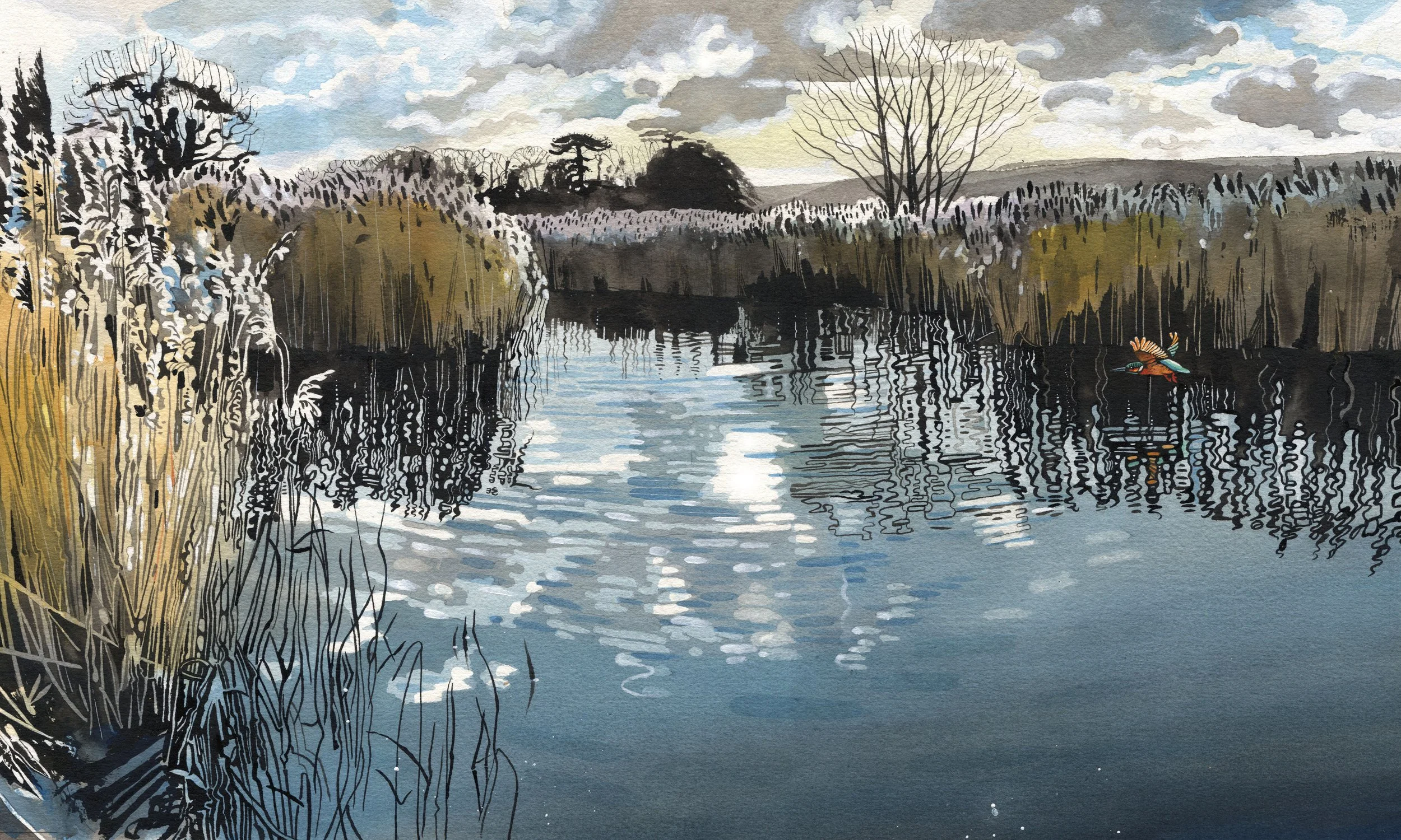 'Kingfisher in the Reeds' - £1,350