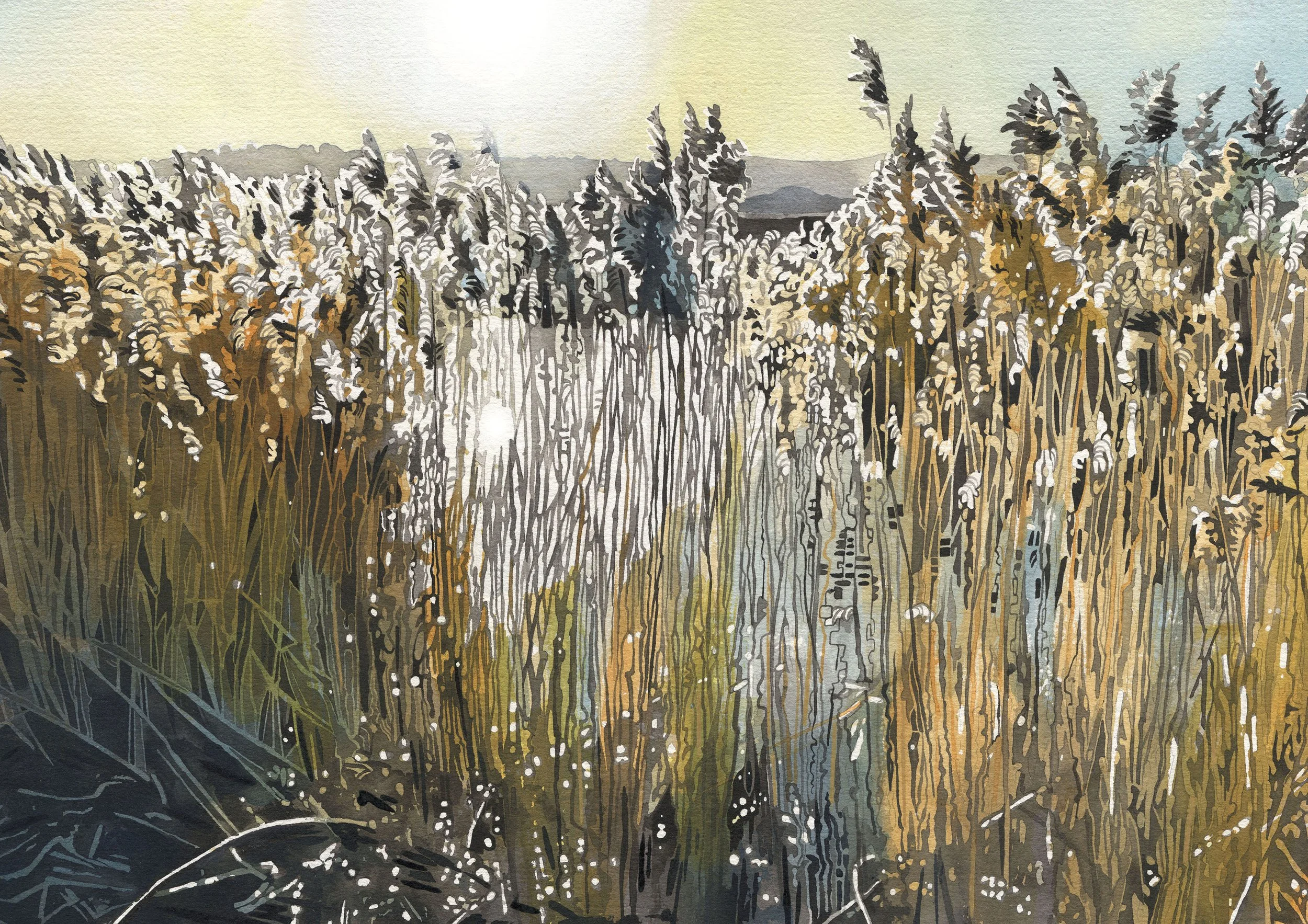 'Reeds' Giclee Print 20cm x 29cm
