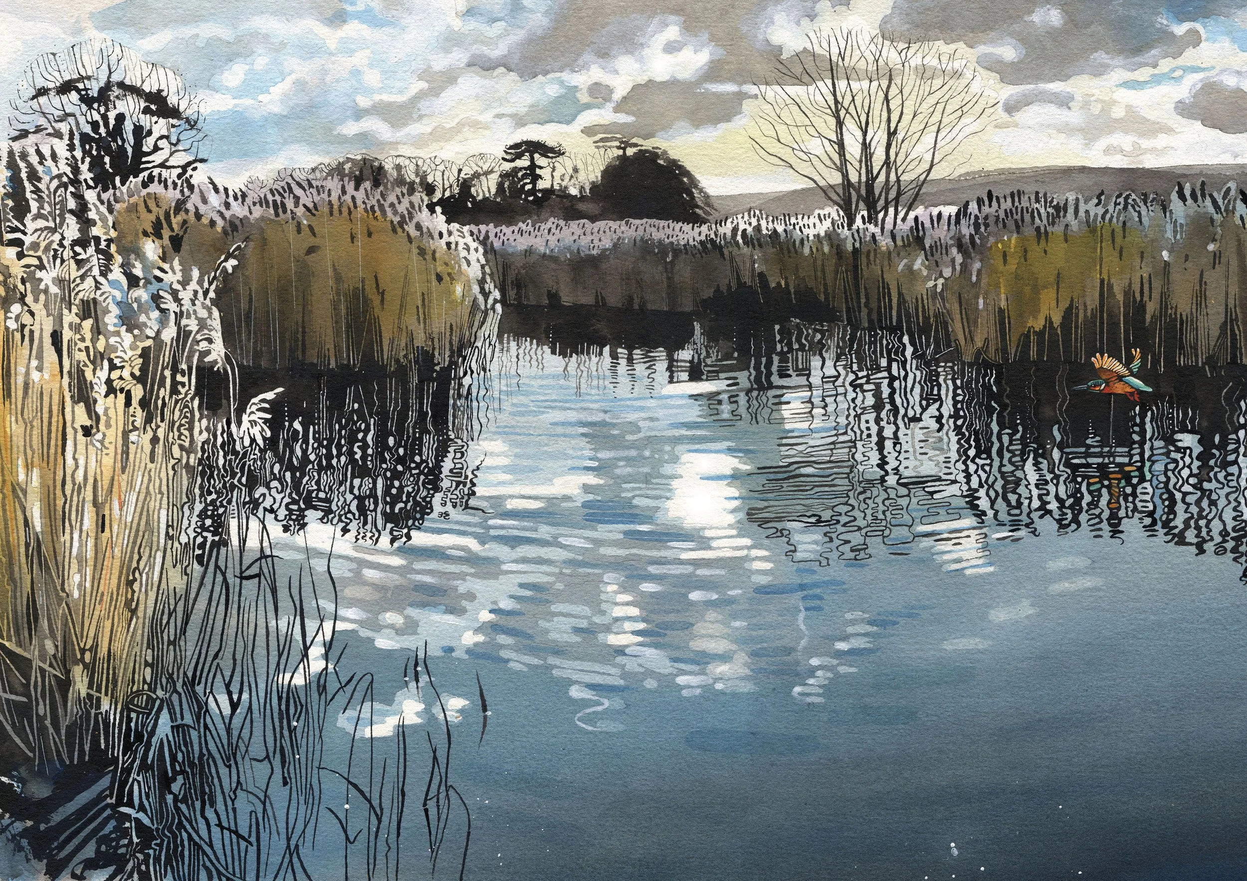 'Kingfisher in the Reeds' Giclee Print 42cm x 30cm