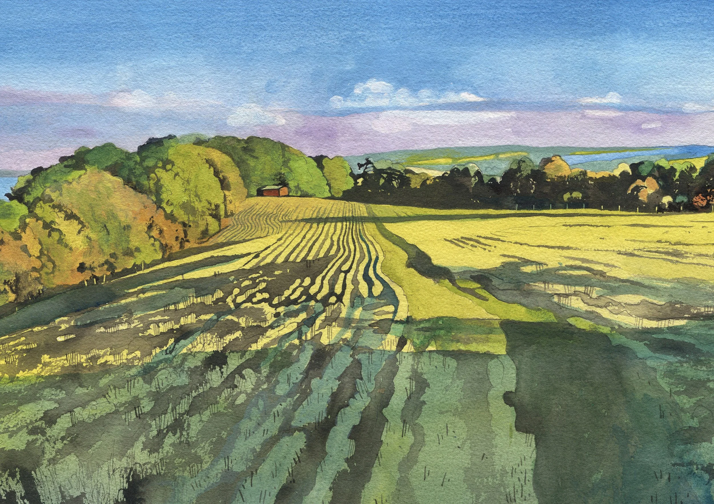 'Freshly Cut Grass' Giclee Print