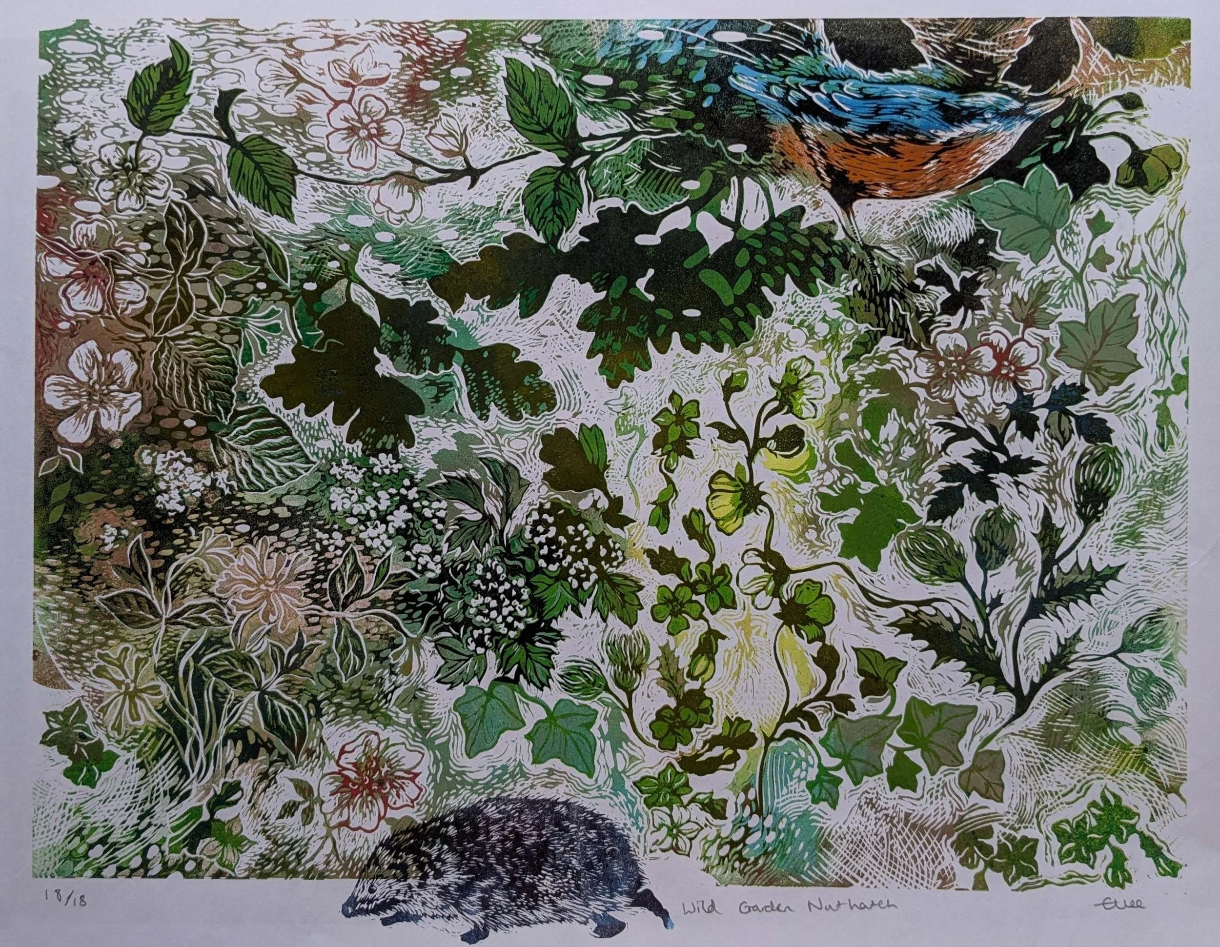 'Wild Garden - Nuthatch' - £235