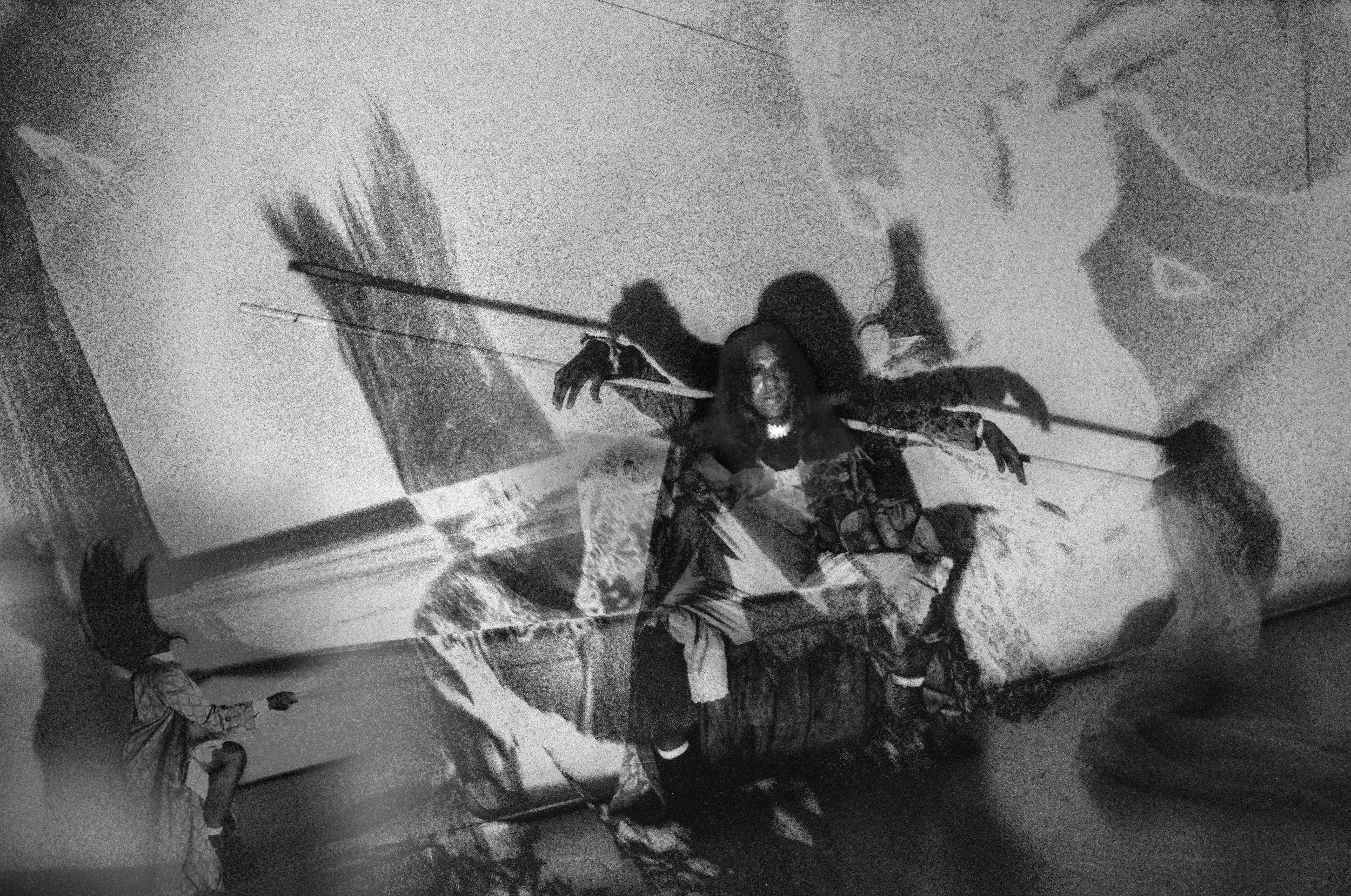 glamcult magazine mykki blanco photographer matt lambert