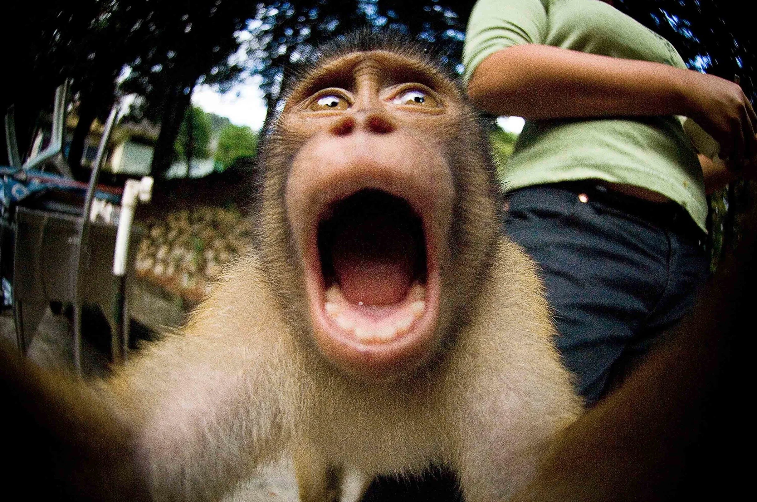 Screen Shot 2021-03-18 at 3.10.10 pm.jpg