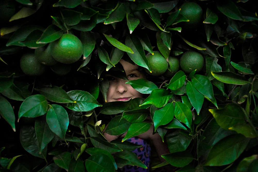 Image by Rosie Snape (12 years old)!