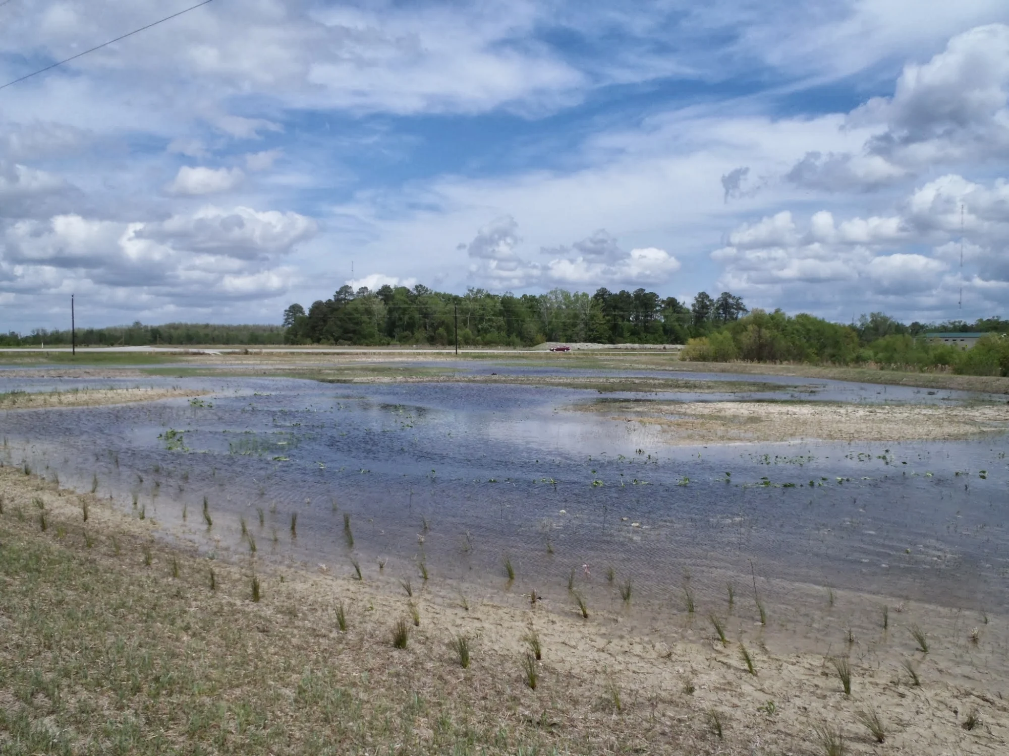 Jack Smith Creek Project, just after planting, 4.18.13