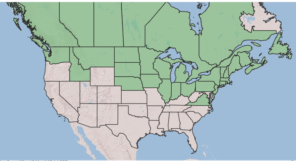 ACAM Geographic distribution.png