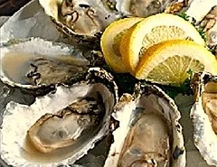 Great+Wicomico+oysters+small.jpg