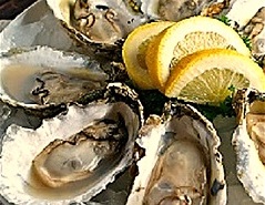 Great+Wicomico+oysters+small.jpg