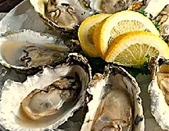 Great+Wicomico+oysters+small.jpg