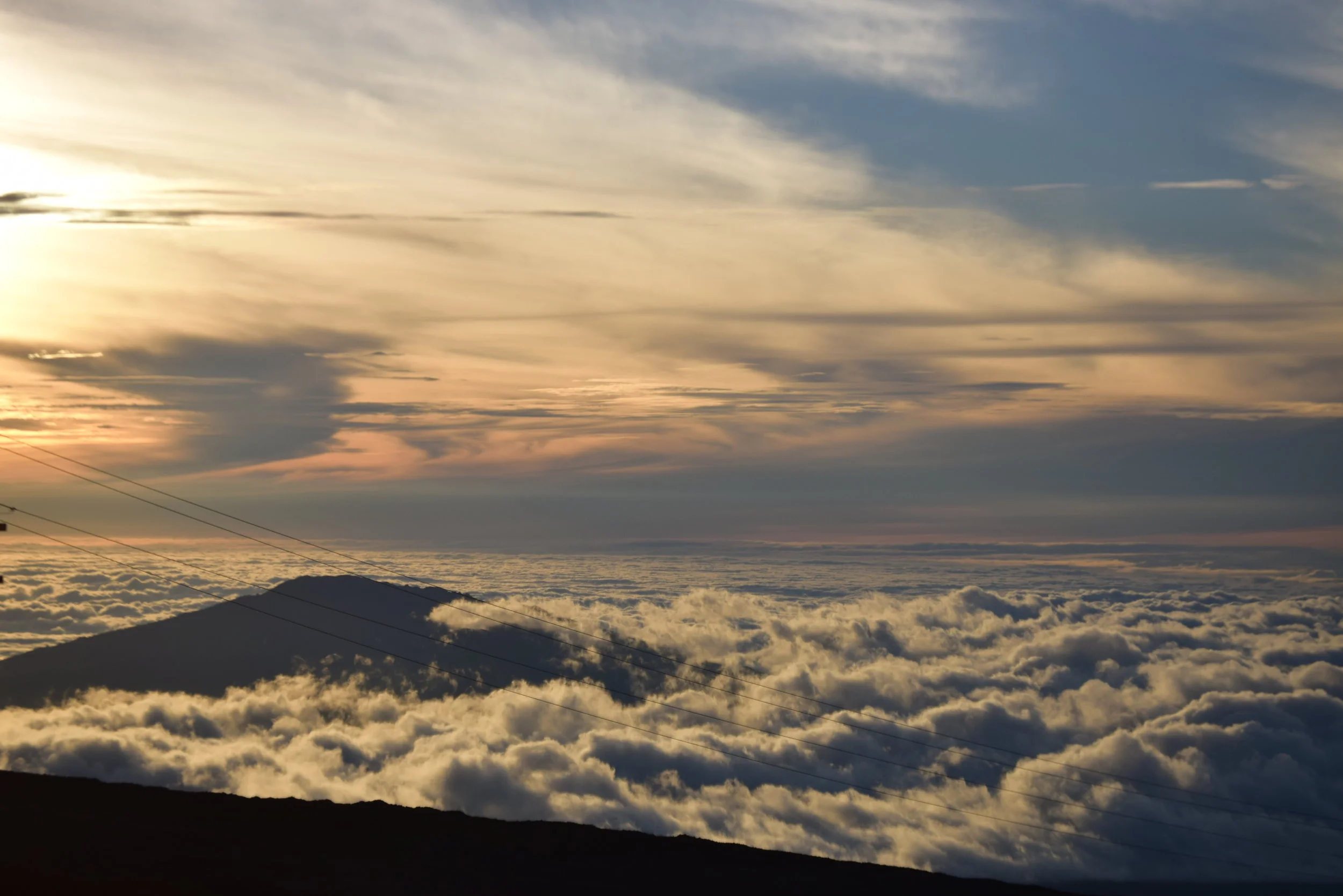 DSC_1145.JPG