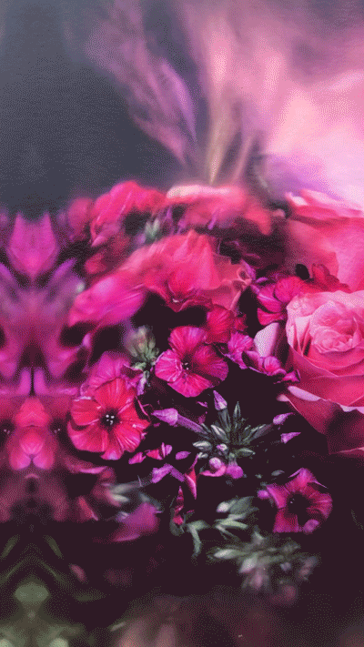 fineart-flower-test.gif