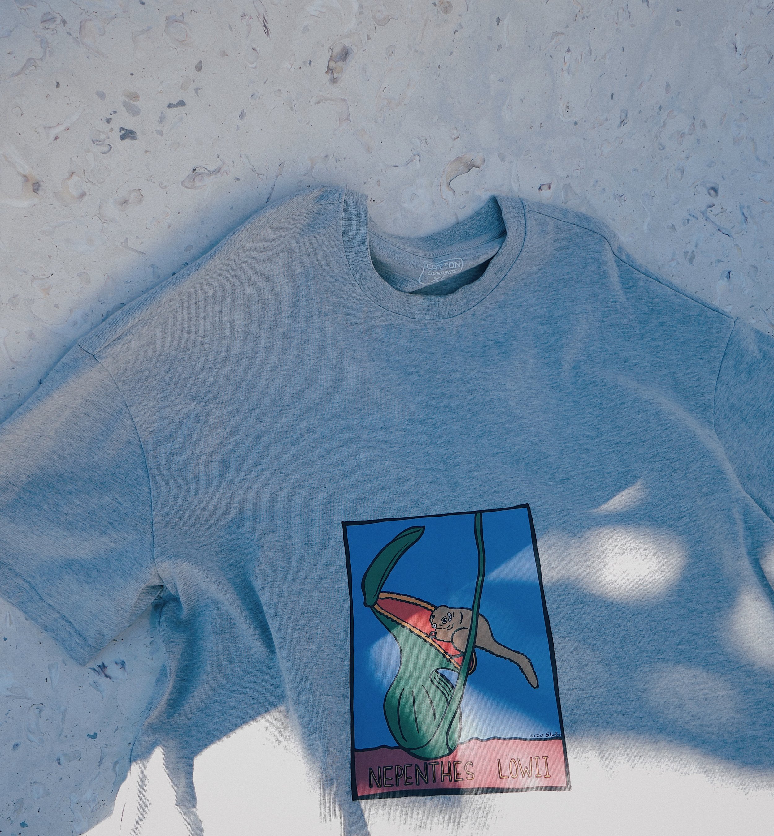 FullSizeRender_VSCO 12.JPG