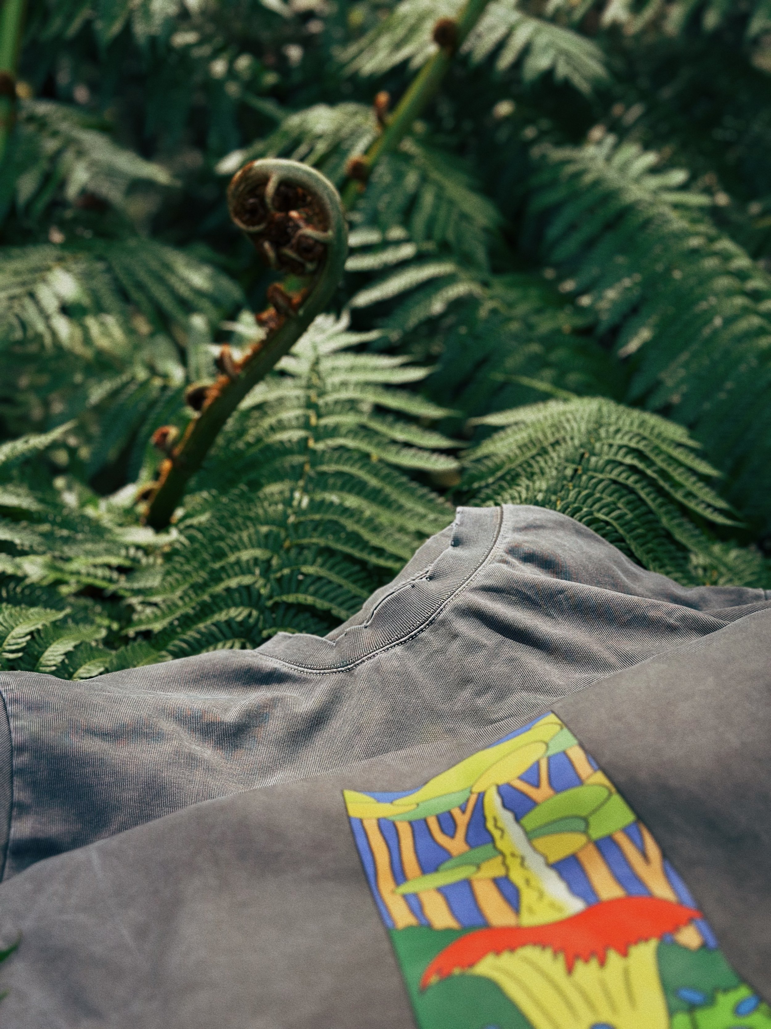 FullSizeRender_VSCO 45.JPG