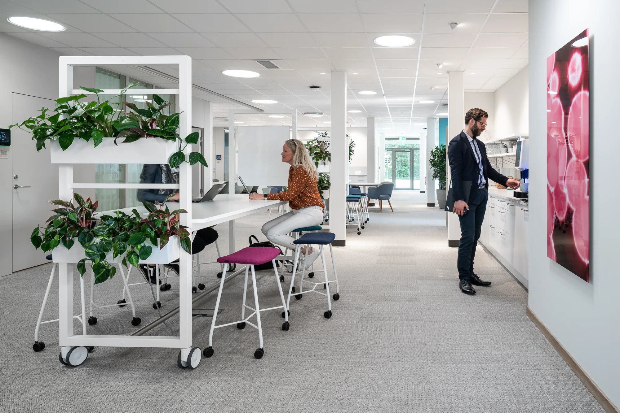 Bayer_web_010.jpg