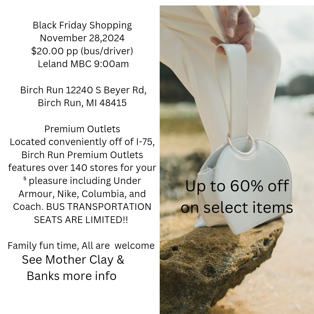 Black Friday Shopping Trip