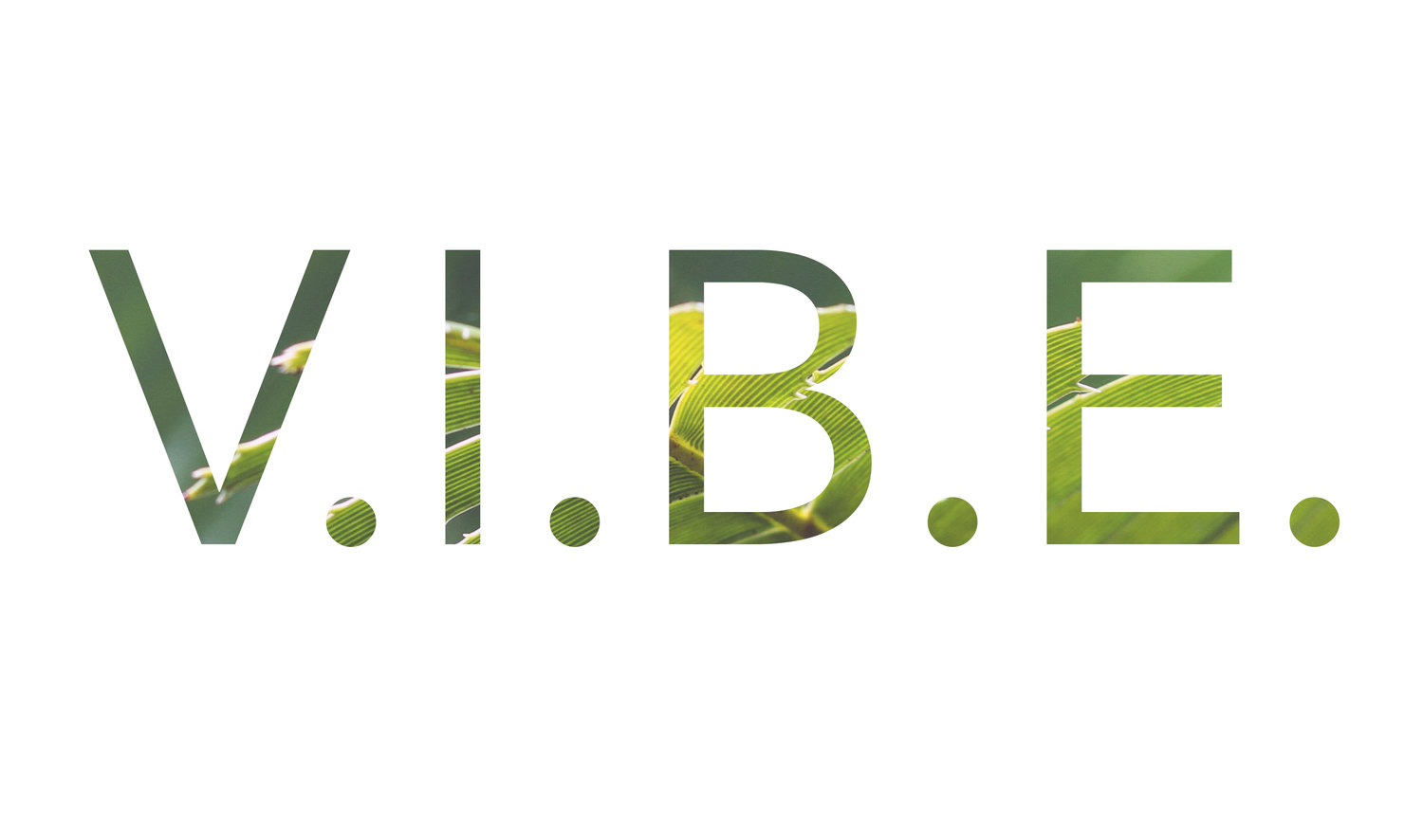  V.I.B.E.