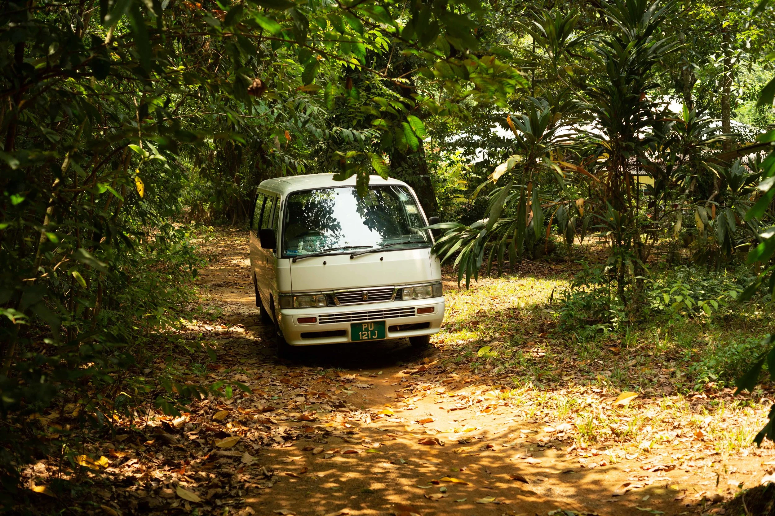 Malay Kampong 190928 227, image by Andrew Campbell Nelson.jpg