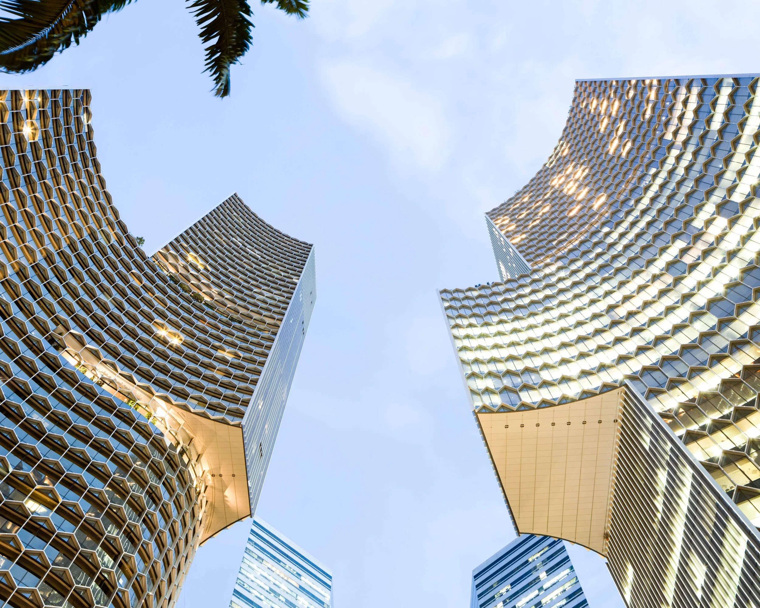 Duo Singapore 66, image by Andrew Campbell Nelson.jpg