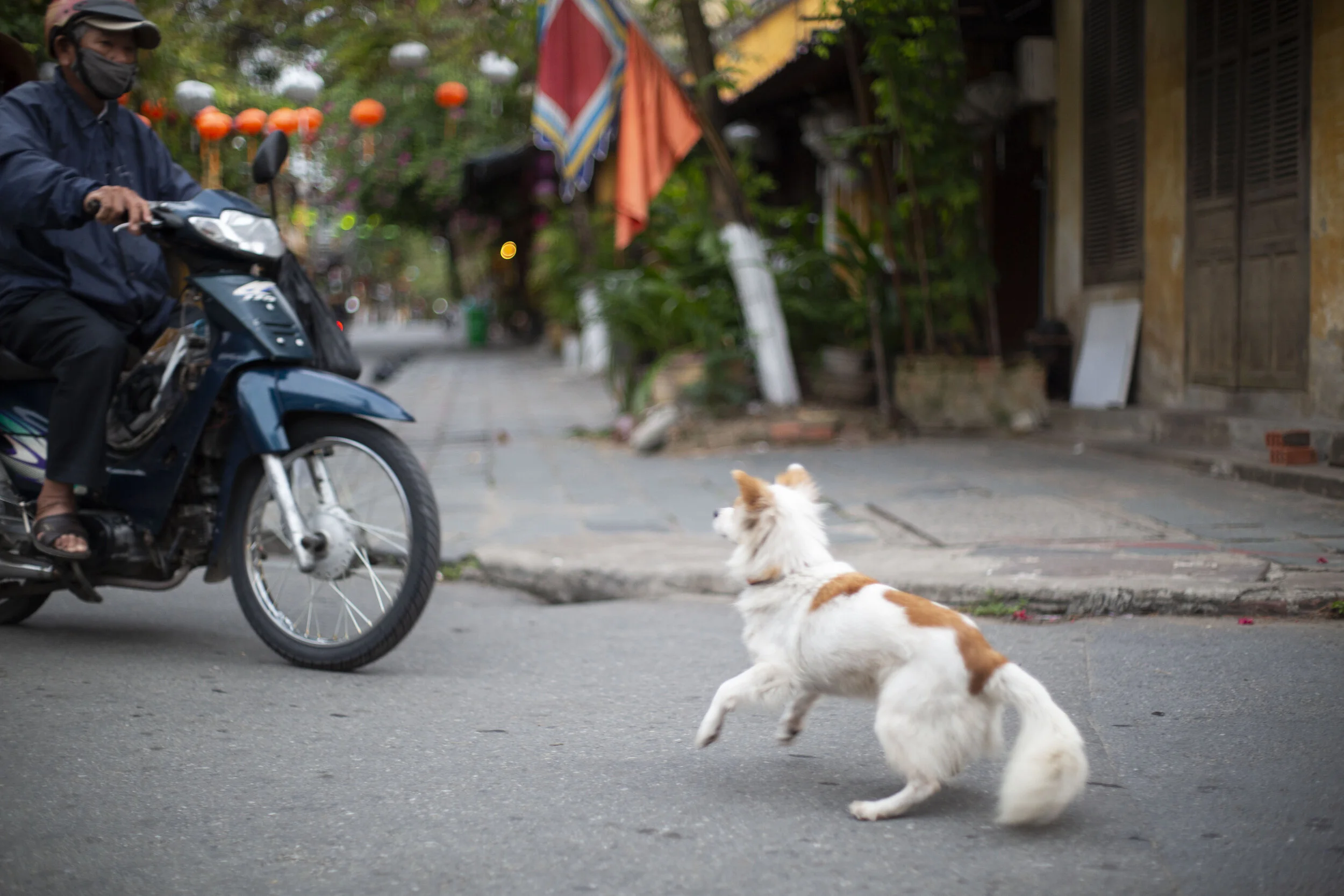 A Morning in Hoi An — Site Visits
