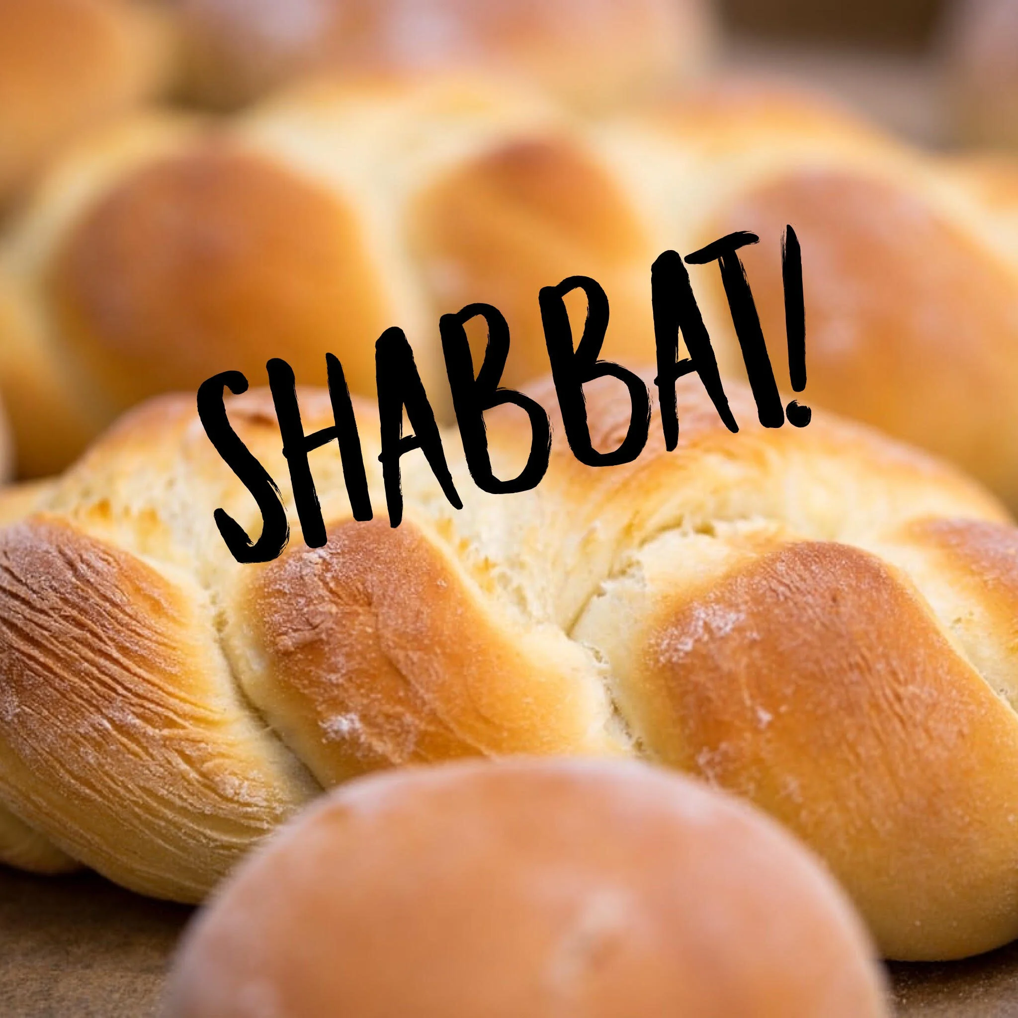Welcome Back Shabbat Dinner