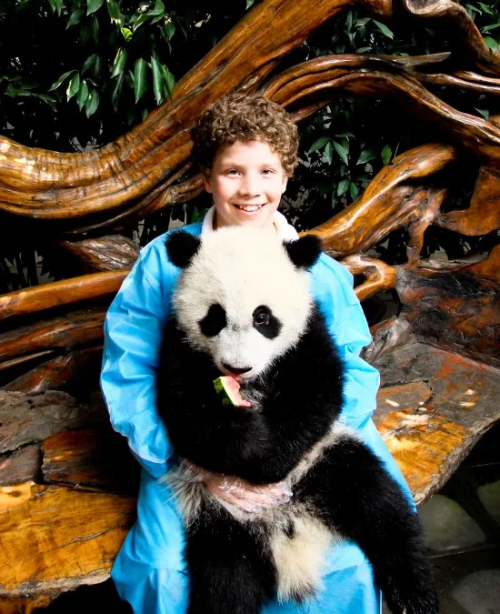 Pandaa.jpg