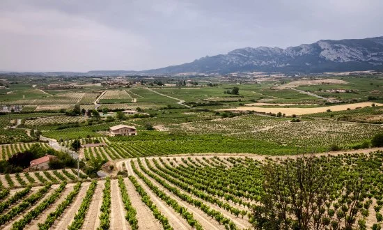 Rioja-countryside.jpg